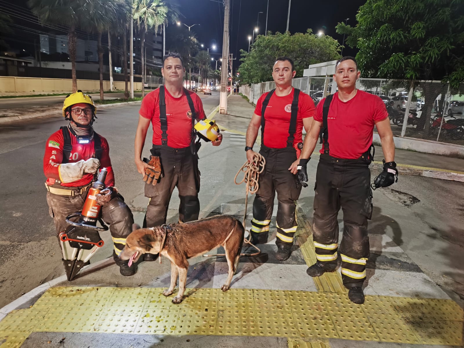 Bombeiros do RN realizam resgate de cachorro preso em rede de esgoto em Mossoró