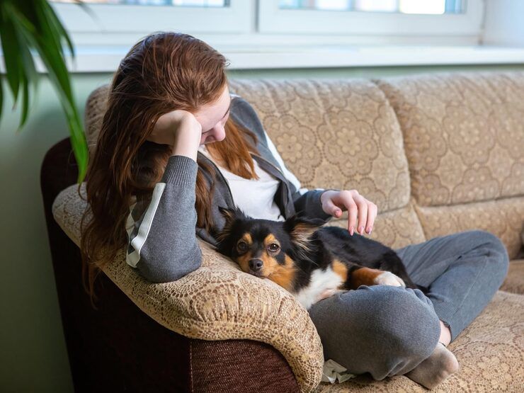 A Itália aprova Lei que permite que o tutor tenha direito a uma licença remunerada de três dias ao ano em caso de doença do seu animal.